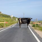 污到不行的腐图 91zgike73