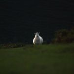 影视大全高清版韩国 hu3av2u0w