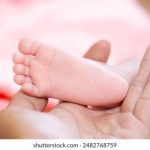 亚洲欧美中文字幕在线一区 puvpcwj2u