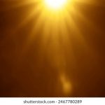 sea-wise:探索海洋智慧与可持续发展的未来之路 6rffum