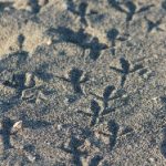 zai youtube:如何在YouTube上快速提升视频观看量与订阅者数量 gzz3kvj